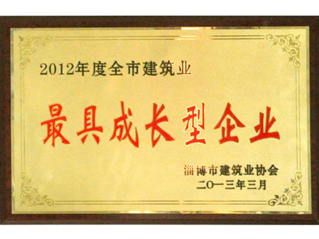 2012年全市最具成長型