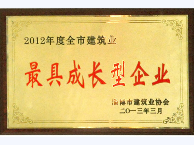 2012年全市最具成長型企業(圖1)