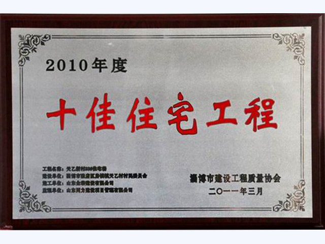 2010年度十佳住宅工程(圖1)