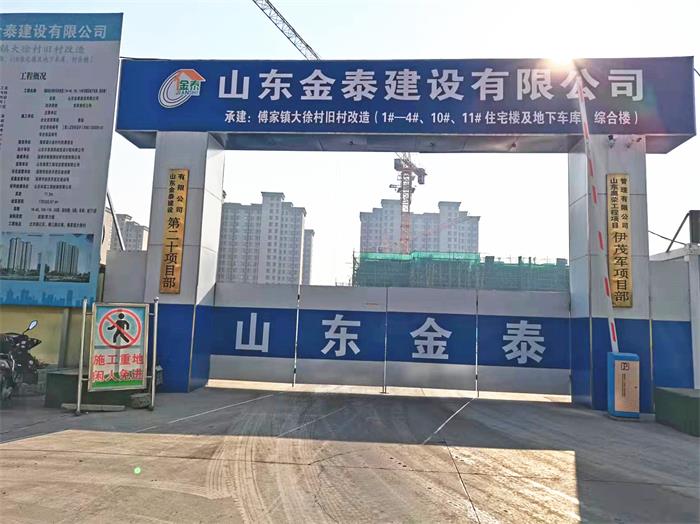 全區觀摩工程-傅家鎮大徐村新建項目(圖1)